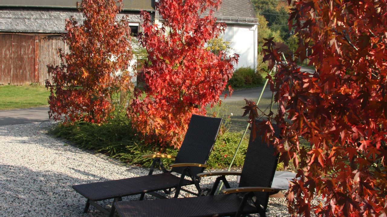 Blick von der Terasse Blick von der Terasse